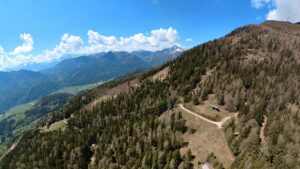 Read more about the article Overhead lines and how to recognise them